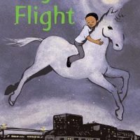 Night Flight
