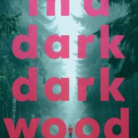 In a Dark, Dark Wood