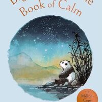 Big Panda's Little Book of Calm